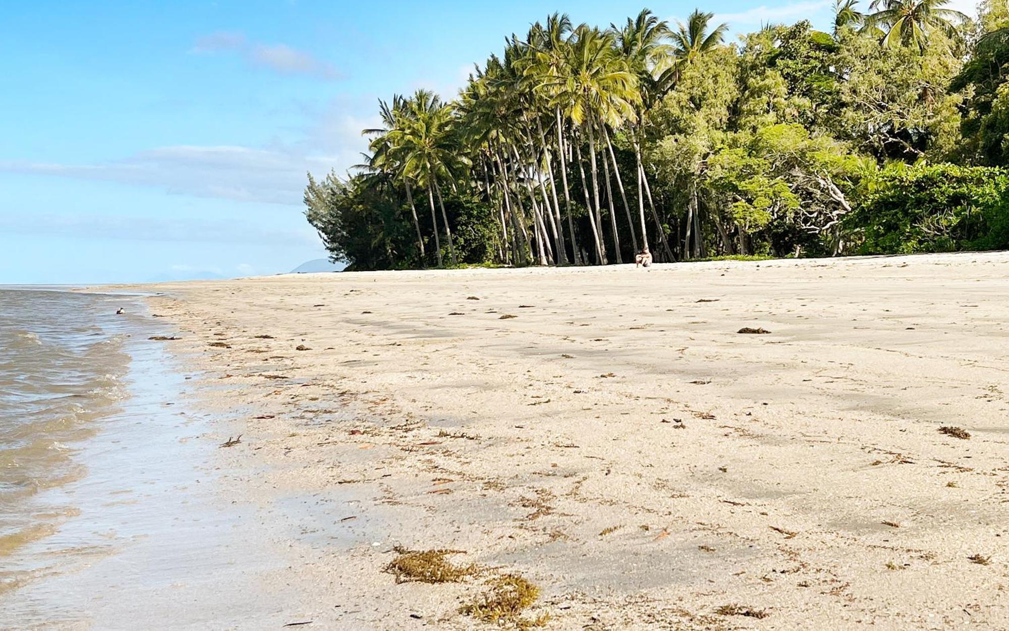 Vila Le Palmier Port Douglas Exteriér fotografie